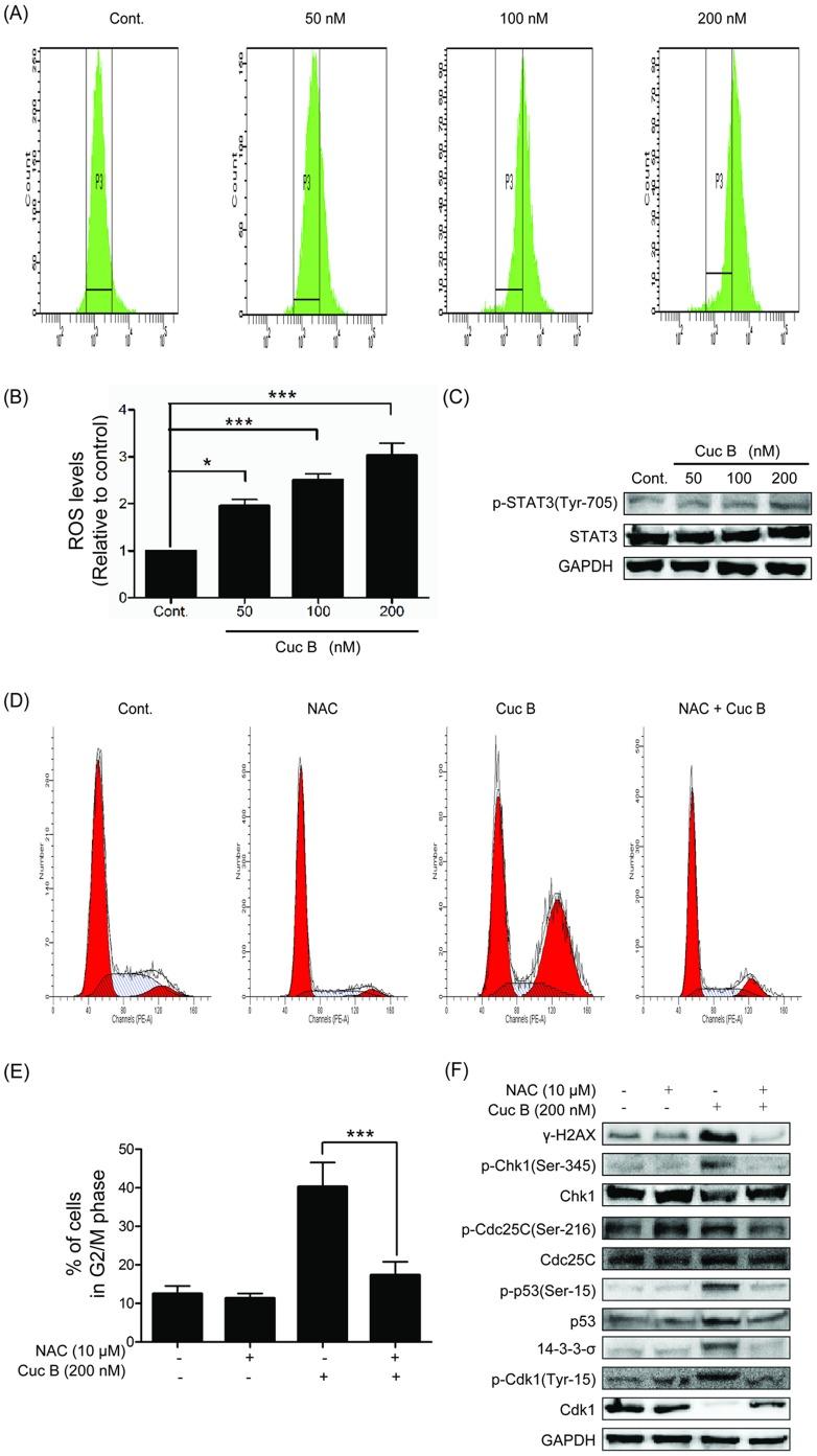 https://cdn.ncbi.nlm.nih.gov/pmc/blobs/8ce5/3913755/3ad00a5d74f3/pone.0088140.g006.jpg