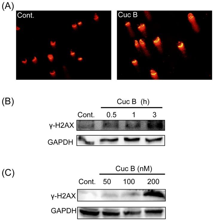 https://cdn.ncbi.nlm.nih.gov/pmc/blobs/8ce5/3913755/8ae3857b2757/pone.0088140.g002.jpg