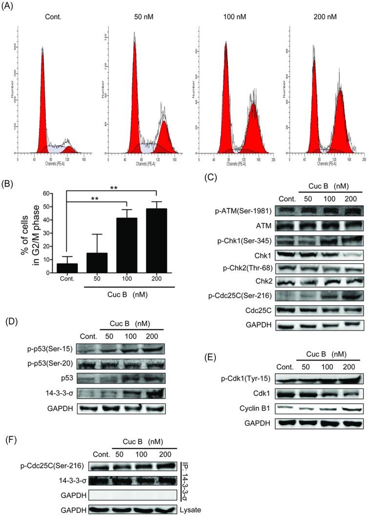 https://cdn.ncbi.nlm.nih.gov/pmc/blobs/8ce5/3913755/a6cfc885a3a4/pone.0088140.g003.jpg