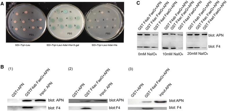 https://cdn.ncbi.nlm.nih.gov/pmc/blobs/8ce5/4746772/808bae401cf6/13567_2016_313_Fig1_HTML.jpg