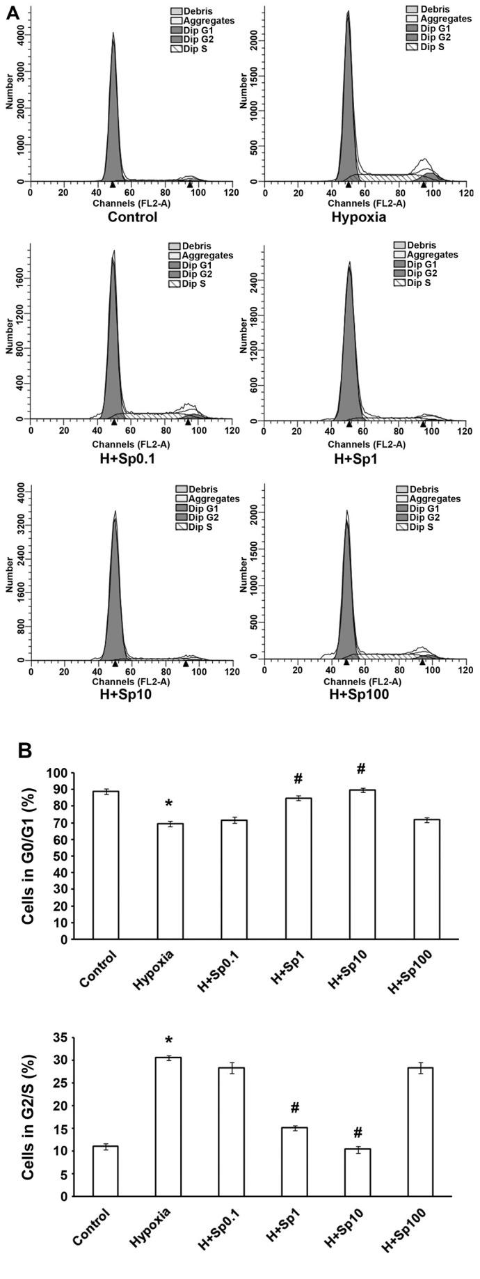 https://cdn.ncbi.nlm.nih.gov/pmc/blobs/8ce7/4687431/5263433cc562/IJMM-37-01-0039-g03.jpg