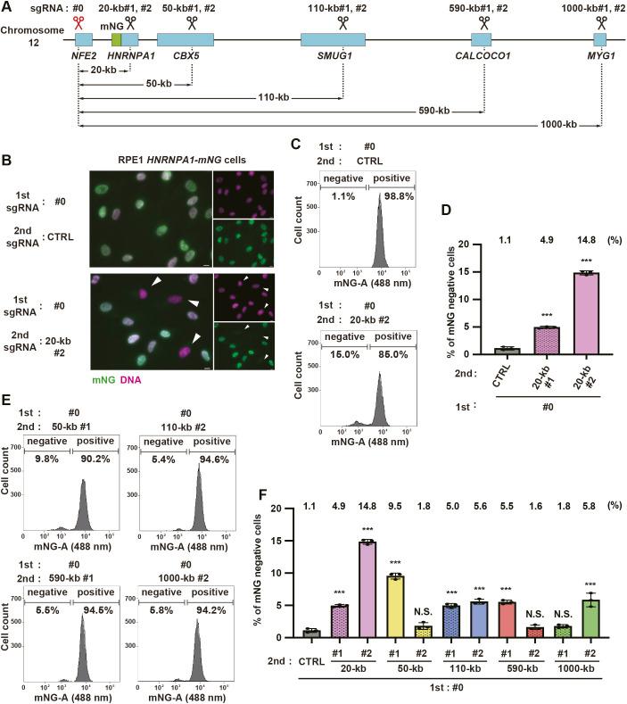 https://cdn.ncbi.nlm.nih.gov/pmc/blobs/8ce8/10038147/d2e16a703c3e/joces-136-260000-g3.jpg