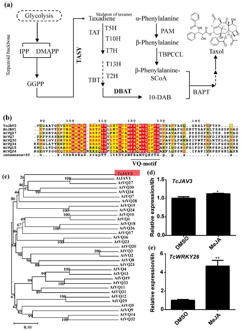 https://cdn.ncbi.nlm.nih.gov/pmc/blobs/8ceb/9656678/8edcdb7804ce/ijms-23-13194-g001.jpg