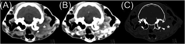 https://cdn.ncbi.nlm.nih.gov/pmc/blobs/8cec/11649876/99dea24cbbd0/VRU-66-0-g001.jpg