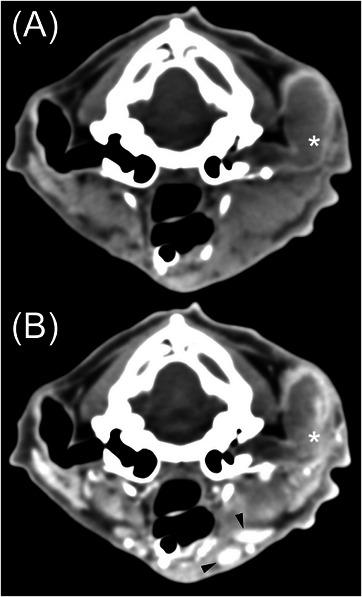 https://cdn.ncbi.nlm.nih.gov/pmc/blobs/8cec/11649876/bb980957289e/VRU-66-0-g003.jpg