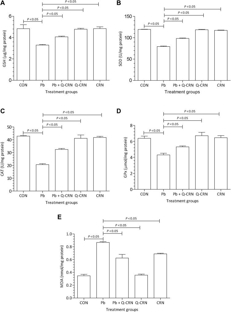 https://cdn.ncbi.nlm.nih.gov/pmc/blobs/8ced/9623090/408e2c1e84b5/fmolb-09-1029729-g003.jpg