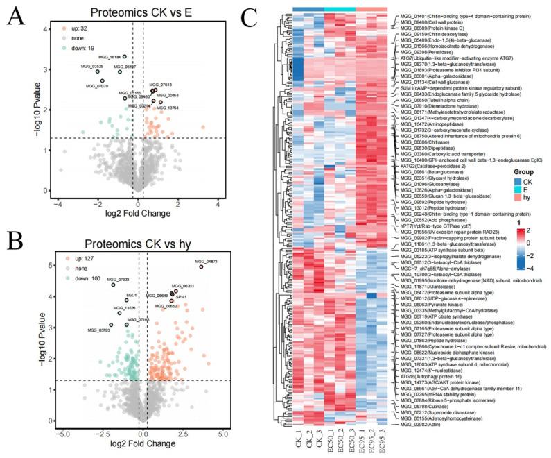 https://cdn.ncbi.nlm.nih.gov/pmc/blobs/8cee/10609347/46b6faa9d1ce/microorganisms-11-02395-g007.jpg