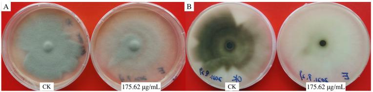 https://cdn.ncbi.nlm.nih.gov/pmc/blobs/8cee/10609347/c9d4b7a76555/microorganisms-11-02395-g003.jpg