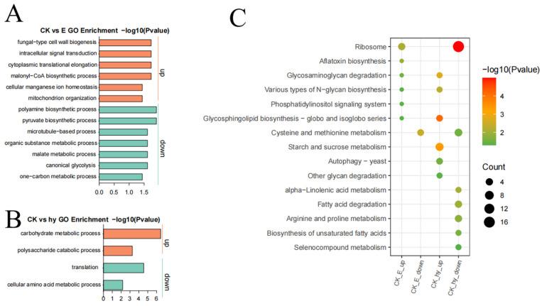 https://cdn.ncbi.nlm.nih.gov/pmc/blobs/8cee/10609347/de06cdab2667/microorganisms-11-02395-g008.jpg