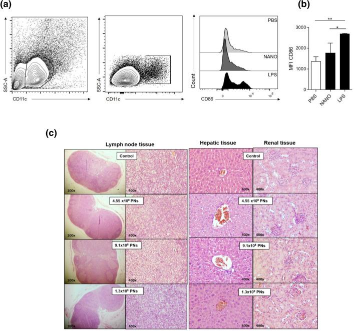 https://cdn.ncbi.nlm.nih.gov/pmc/blobs/8cee/8675790/9b7e52557f63/NBT2-15-532-g001.jpg