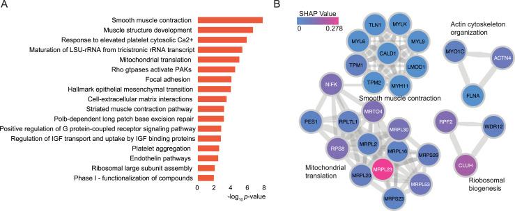 https://cdn.ncbi.nlm.nih.gov/pmc/blobs/8cef/10698198/a661f2f71908/LSA-2023-02146_Fig4.jpg