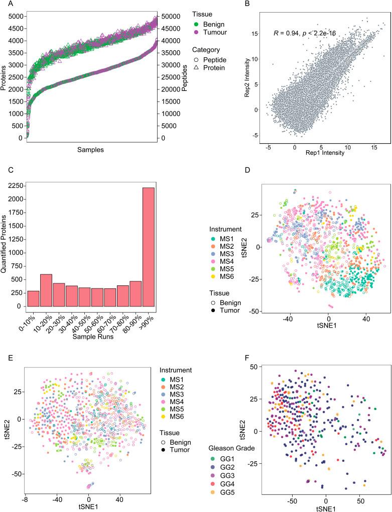 https://cdn.ncbi.nlm.nih.gov/pmc/blobs/8cef/10698198/aea264e00561/LSA-2023-02146_FigS3.jpg