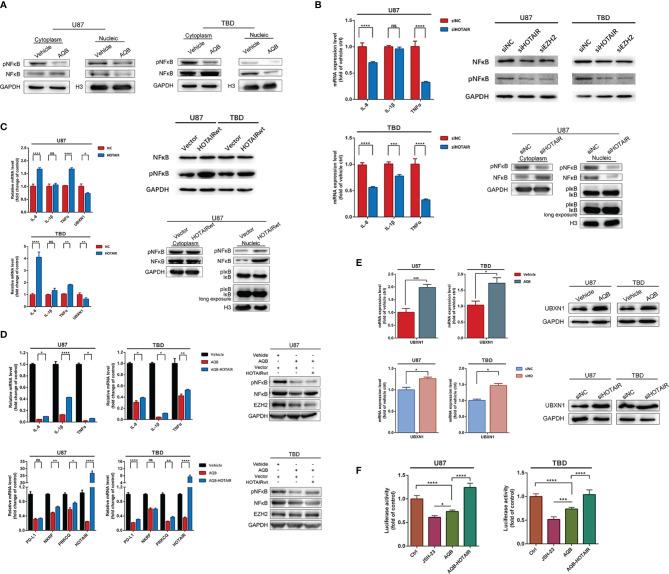 https://cdn.ncbi.nlm.nih.gov/pmc/blobs/8cef/8649724/e51faf6d5755/fimmu-12-785463-g004.jpg