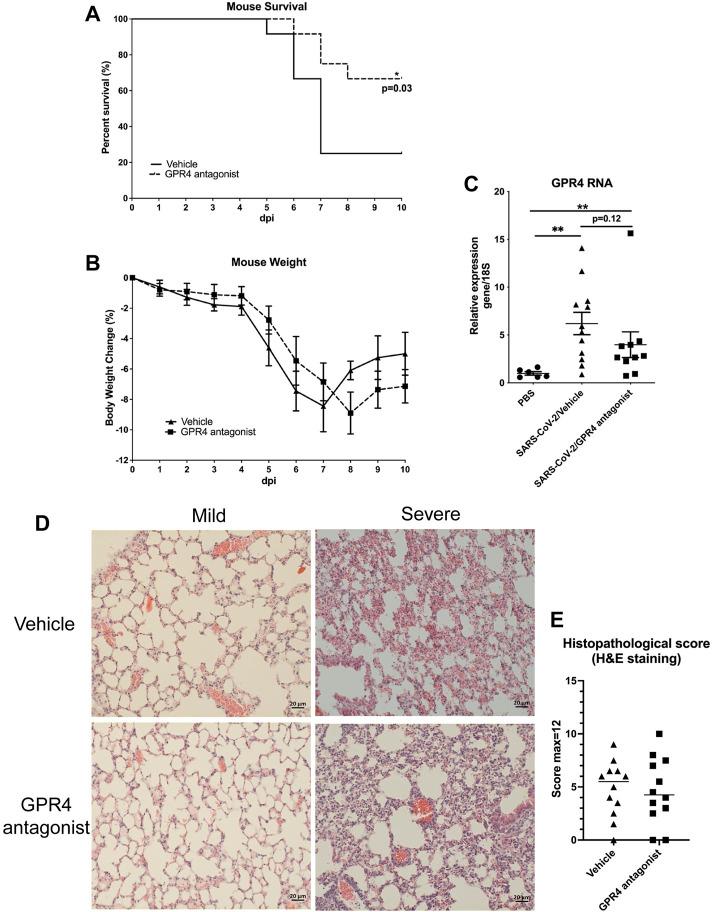 https://cdn.ncbi.nlm.nih.gov/pmc/blobs/8cf0/12283652/02cd01245b40/fphar-16-1549296-g001.jpg
