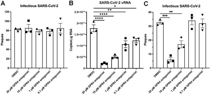 https://cdn.ncbi.nlm.nih.gov/pmc/blobs/8cf0/12283652/5907758697aa/fphar-16-1549296-g005.jpg