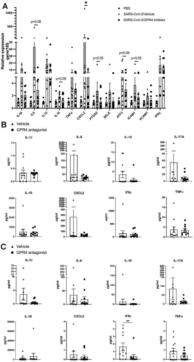 https://cdn.ncbi.nlm.nih.gov/pmc/blobs/8cf0/12283652/6cf9d517b612/fphar-16-1549296-g002.jpg
