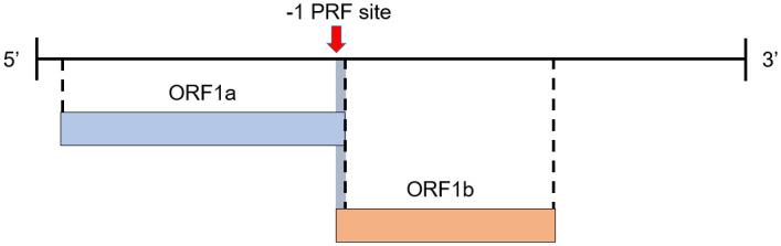 https://cdn.ncbi.nlm.nih.gov/pmc/blobs/8cf2/10004594/106fe6de0244/pcbi.1010922.g001.jpg