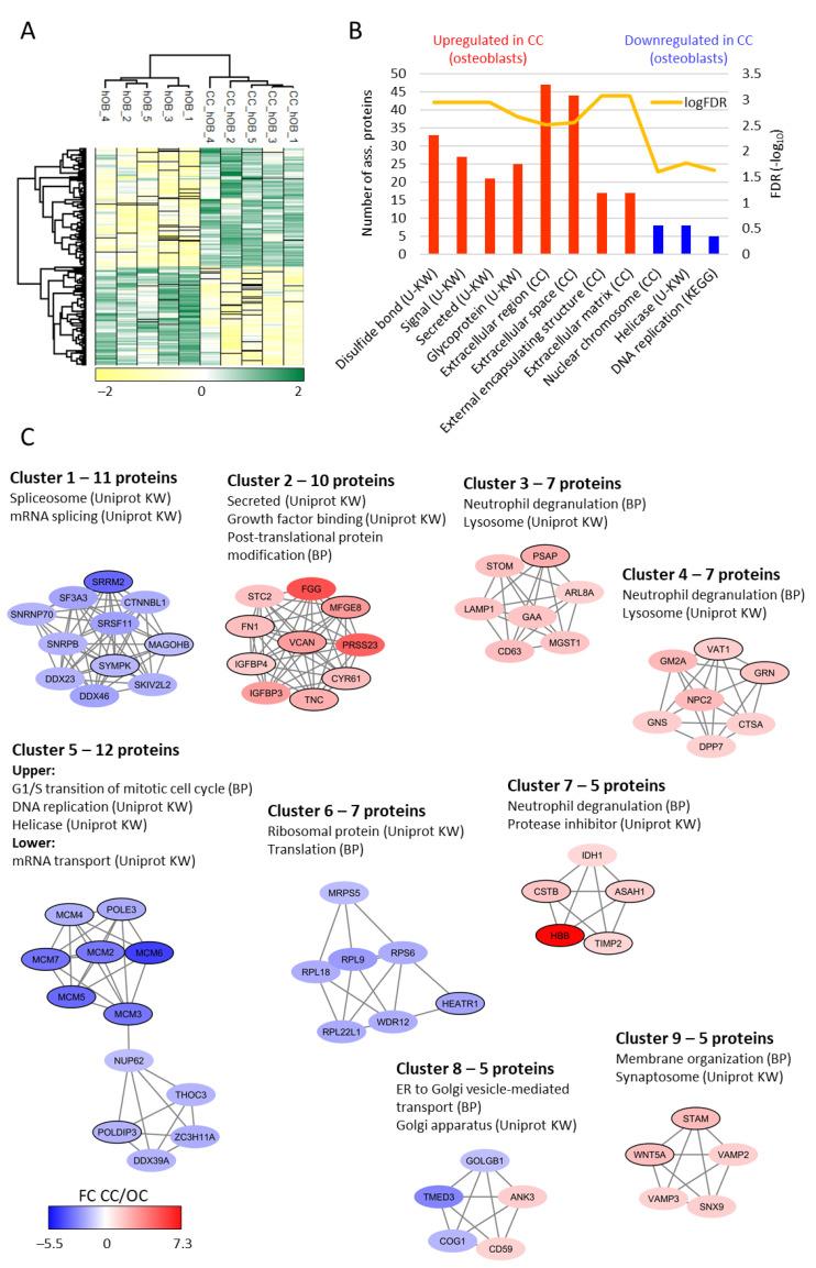 https://cdn.ncbi.nlm.nih.gov/pmc/blobs/8cf2/8198503/37a0978ba8dc/ijms-22-05665-g005.jpg