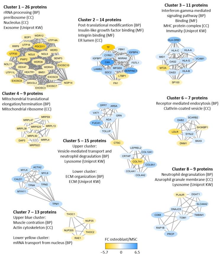 https://cdn.ncbi.nlm.nih.gov/pmc/blobs/8cf2/8198503/710d2e8926b0/ijms-22-05665-g004.jpg
