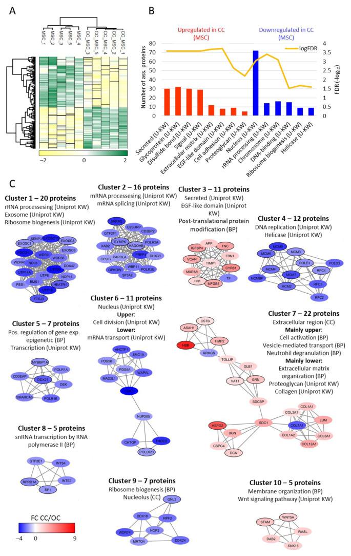 https://cdn.ncbi.nlm.nih.gov/pmc/blobs/8cf2/8198503/bc7d640eeb76/ijms-22-05665-g006.jpg