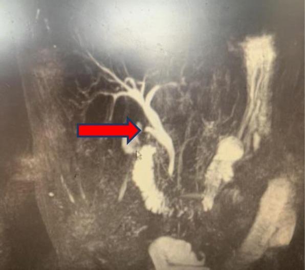https://cdn.ncbi.nlm.nih.gov/pmc/blobs/8cf3/7079474/4146375d0dcd/12893_2020_705_Fig4_HTML.jpg