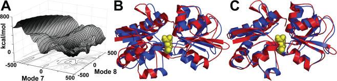 https://cdn.ncbi.nlm.nih.gov/pmc/blobs/8cf5/1538881/b6f728749ec3/gkl082f3.jpg