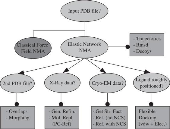 https://cdn.ncbi.nlm.nih.gov/pmc/blobs/8cf5/1538881/c4feabf192ab/gkl082f1.jpg