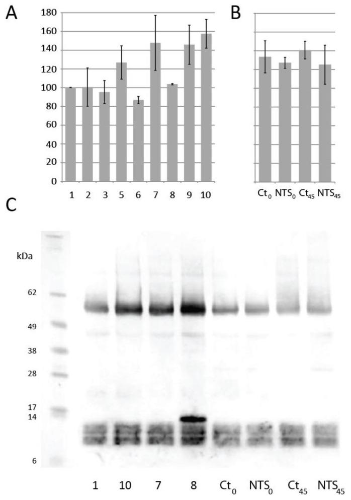 https://cdn.ncbi.nlm.nih.gov/pmc/blobs/8cf6/6316651/ac1c2900889b/antioxidants-07-00190-g004.jpg