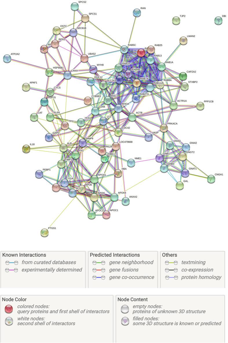 https://cdn.ncbi.nlm.nih.gov/pmc/blobs/8cf6/7708215/12ba613e5f5c/12917_2020_2692_Fig1_HTML.jpg