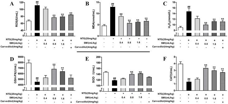https://cdn.ncbi.nlm.nih.gov/pmc/blobs/8cfa/5409518/aba869f5b7e5/pone.0176777.g004.jpg