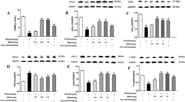 https://cdn.ncbi.nlm.nih.gov/pmc/blobs/8cfa/5409518/cec6532d2fe2/pone.0176777.g005.jpg