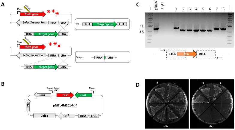 https://cdn.ncbi.nlm.nih.gov/pmc/blobs/8d00/10223405/2a30f62198e7/microorganisms-11-01256-g003.jpg