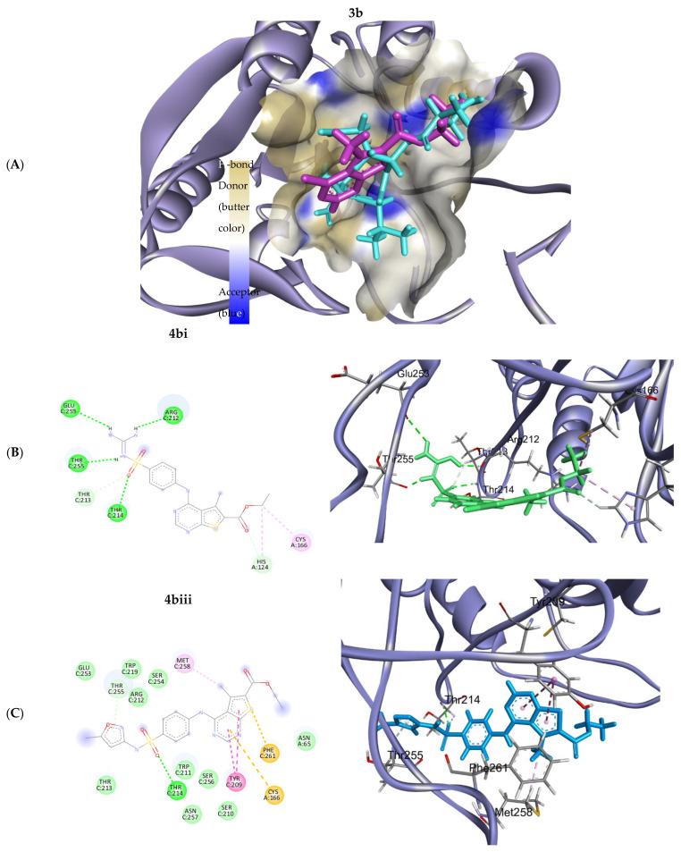 https://cdn.ncbi.nlm.nih.gov/pmc/blobs/8d00/10341658/79c3424a5f27/ijms-24-10827-g004.jpg