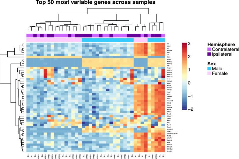 https://cdn.ncbi.nlm.nih.gov/pmc/blobs/8d00/10353227/da781571699b/40478_2023_1603_Fig3_HTML.jpg