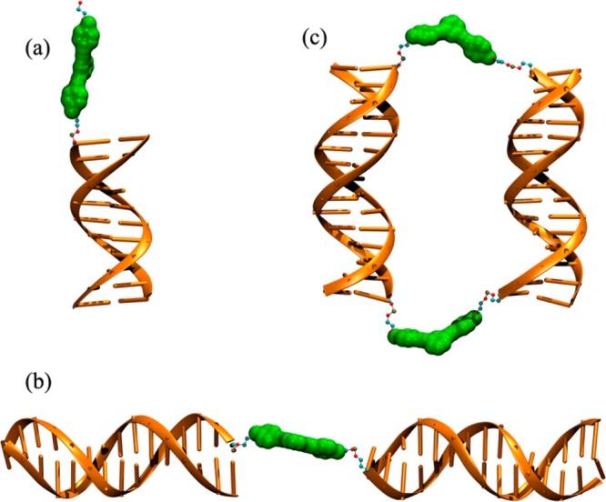 https://cdn.ncbi.nlm.nih.gov/pmc/blobs/8d00/3954456/e422e5154201/jp-2014-01041m_0004.jpg