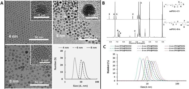 https://cdn.ncbi.nlm.nih.gov/pmc/blobs/8d00/7802780/ab867262348c/IJN-16-201-g0002.jpg