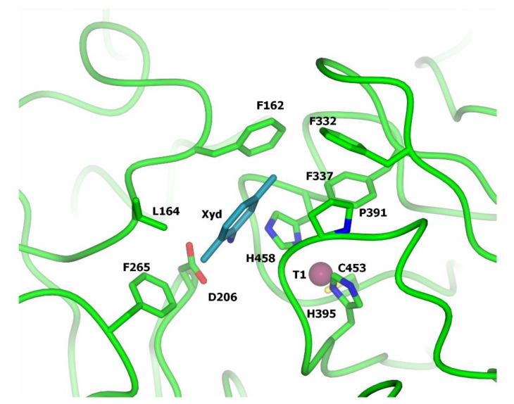 https://cdn.ncbi.nlm.nih.gov/pmc/blobs/8d00/8708107/1da7a45e8182/jof-07-01048-g005.jpg