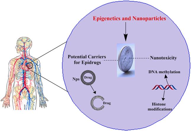 https://cdn.ncbi.nlm.nih.gov/pmc/blobs/8d01/10767507/92dc6a777717/ga1.jpg