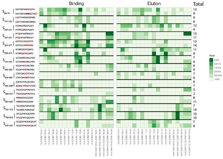 https://cdn.ncbi.nlm.nih.gov/pmc/blobs/8d03/9863717/3fa9e16602a8/viruses-15-00101-g001.jpg