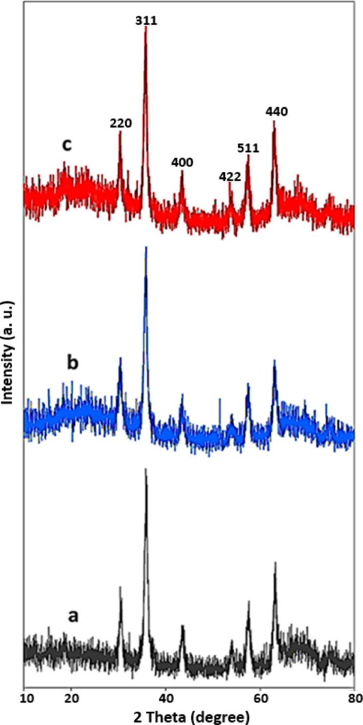 https://cdn.ncbi.nlm.nih.gov/pmc/blobs/8d04/12218961/31fbbf181100/41598_2025_5537_Fig5_HTML.jpg