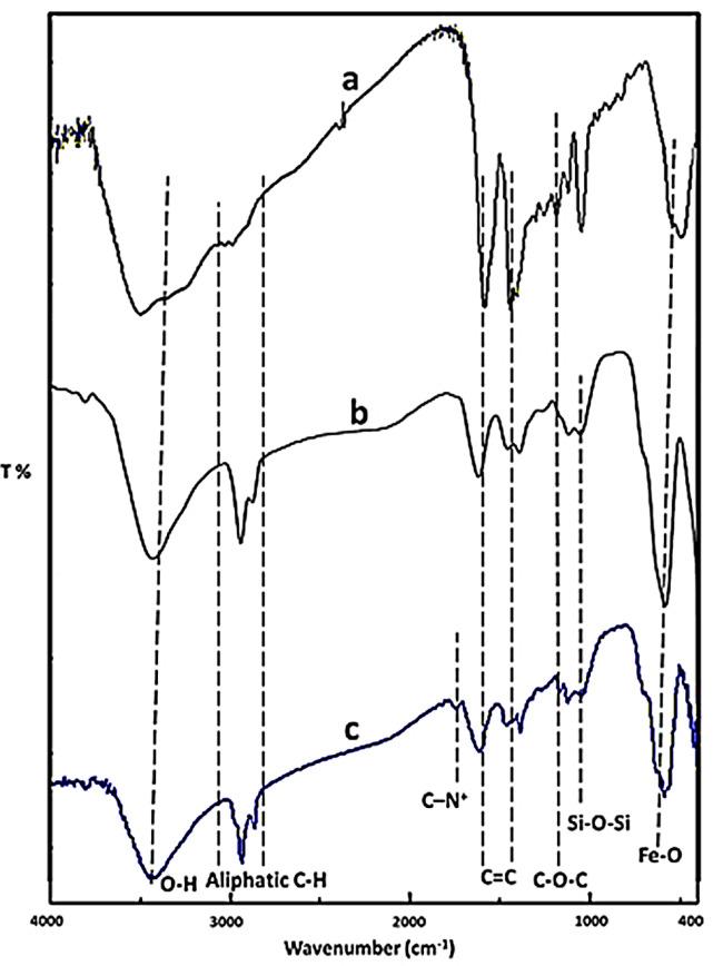 https://cdn.ncbi.nlm.nih.gov/pmc/blobs/8d04/12218961/3d443d937691/41598_2025_5537_Fig2_HTML.jpg