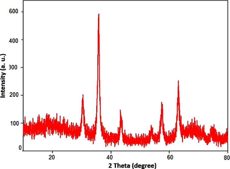 https://cdn.ncbi.nlm.nih.gov/pmc/blobs/8d04/12218961/885575436ba9/41598_2025_5537_Fig13_HTML.jpg