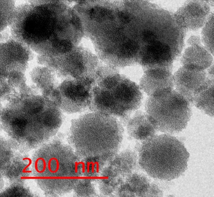 https://cdn.ncbi.nlm.nih.gov/pmc/blobs/8d04/12218961/a0b0e529e1e7/41598_2025_5537_Fig9_HTML.jpg