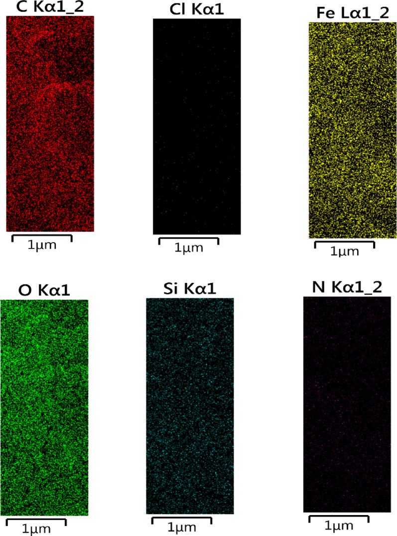 https://cdn.ncbi.nlm.nih.gov/pmc/blobs/8d04/12218961/b9e9f8500ef7/41598_2025_5537_Fig4_HTML.jpg