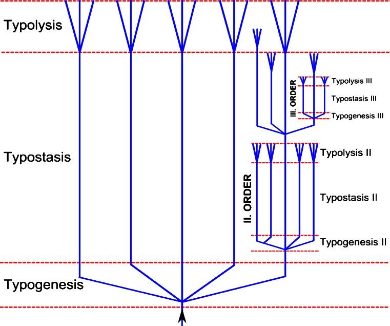 https://cdn.ncbi.nlm.nih.gov/pmc/blobs/8d04/3935097/6a5a2bf1d6d9/114_2014_1152_Fig1_HTML.jpg