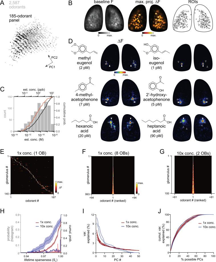 https://cdn.ncbi.nlm.nih.gov/pmc/blobs/8d04/9352350/3c689b0d8e0b/elife-80470-fig1.jpg