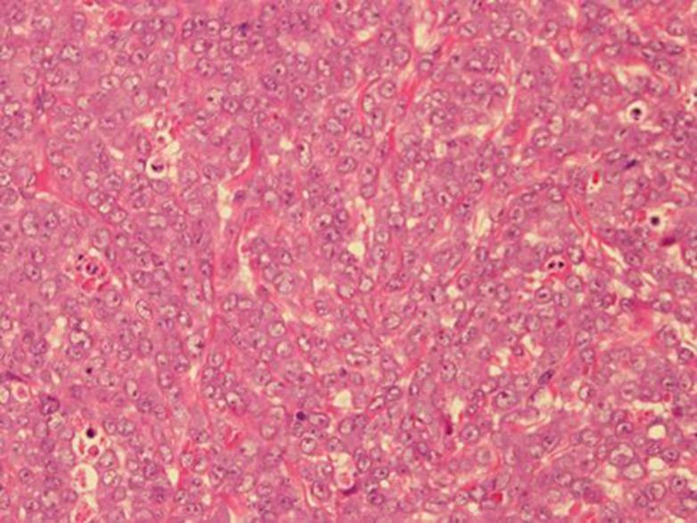 https://cdn.ncbi.nlm.nih.gov/pmc/blobs/8d05/4748776/cd321cdb04d8/cop-0007-0025-g02.jpg
