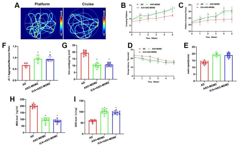 https://cdn.ncbi.nlm.nih.gov/pmc/blobs/8d06/10637794/7d113b7a4d99/aging-15-205144-g003.jpg