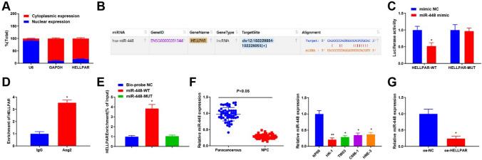 https://cdn.ncbi.nlm.nih.gov/pmc/blobs/8d06/12095706/4f21275a0ab0/12672_2025_2565_Fig3_HTML.jpg