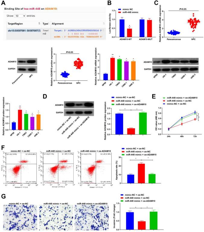 https://cdn.ncbi.nlm.nih.gov/pmc/blobs/8d06/12095706/6e228ebc43a4/12672_2025_2565_Fig5_HTML.jpg